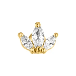 Cataleya Piercing | Titan