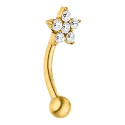 Flower Rook Piercing | Chirurgenstahl