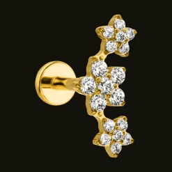 Flowerish Piercing | Titan