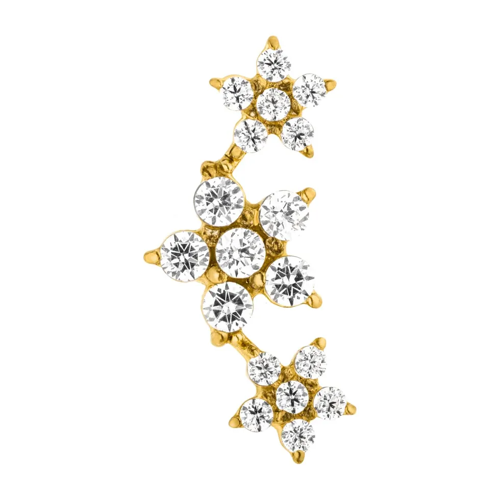 Flowerish Piercing | Titan