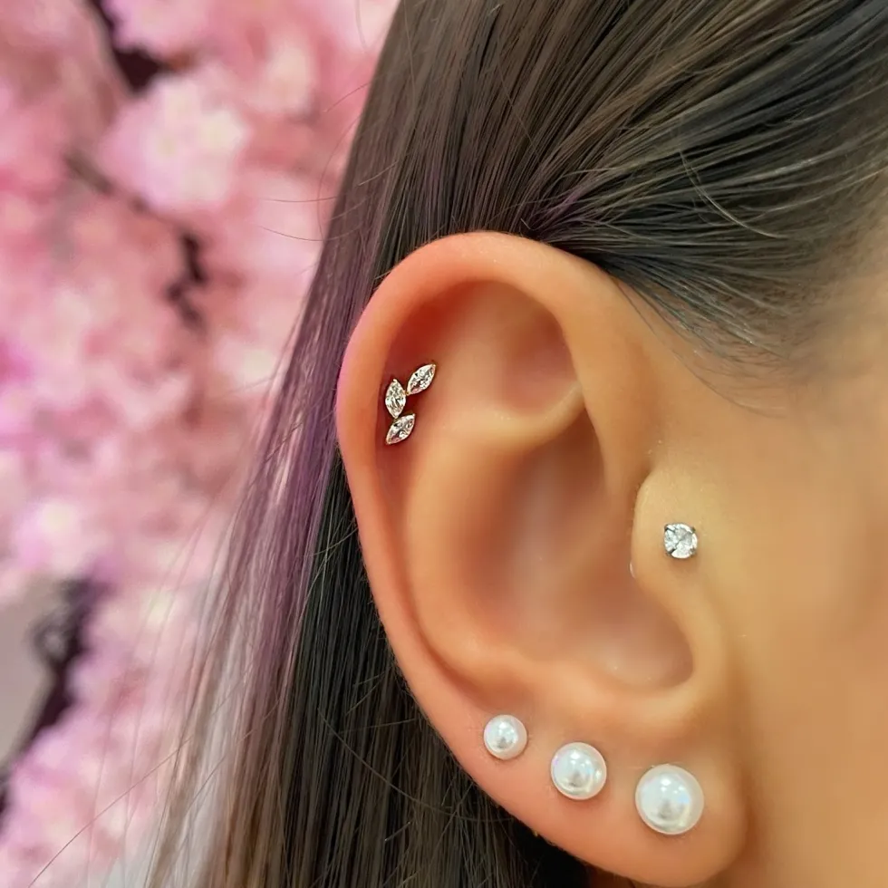 Leaves Piercing | Titan