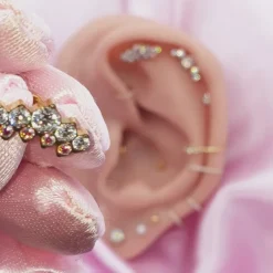 Luxury Piercing | Titan
