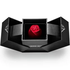 Ringbox | Geschenk Verpackung