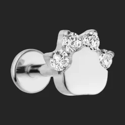 Shiny Paw Piercing | Titan