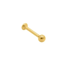 Simple Dot Piercing | Titan