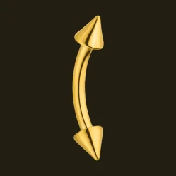 Spike Rook Piercing | Titan