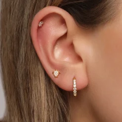 Turtle Piercing | Titan